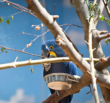 DDOS压力测试网页端