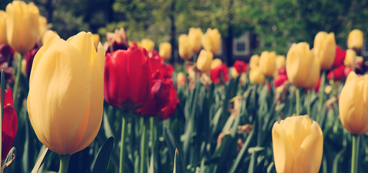 ddos流量攻击购买